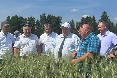 Оренбуржье приступило к уборке урожая